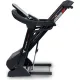 Беговая дорожка Titanium Masters Physiotech TLF